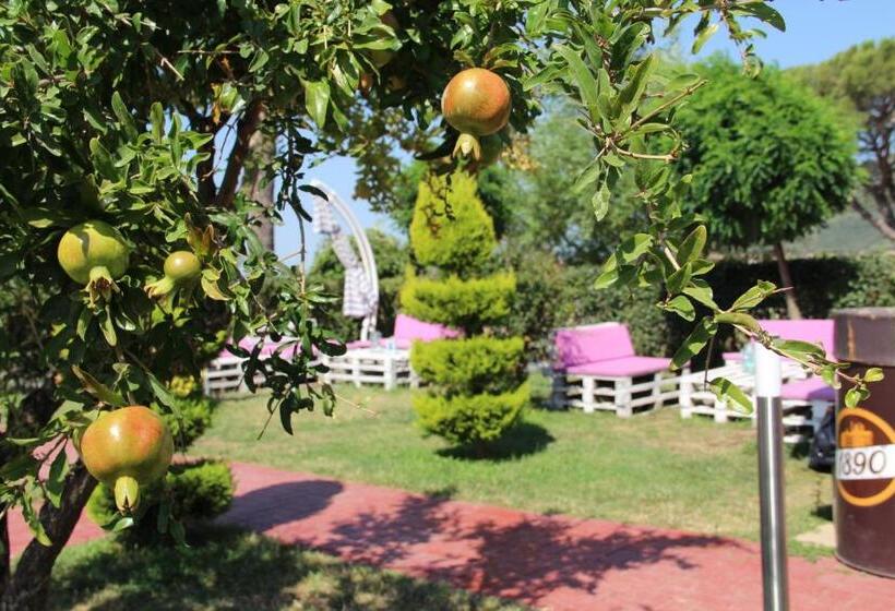 فندق Aloria Garden