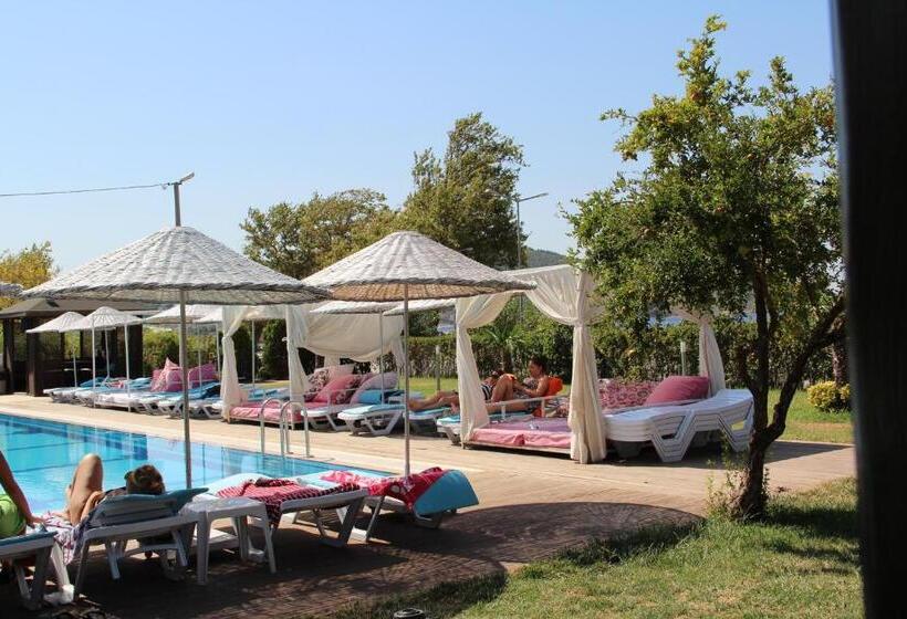 فندق Aloria Garden