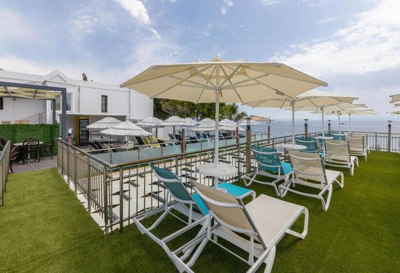 בית מלון כפרי Amfora