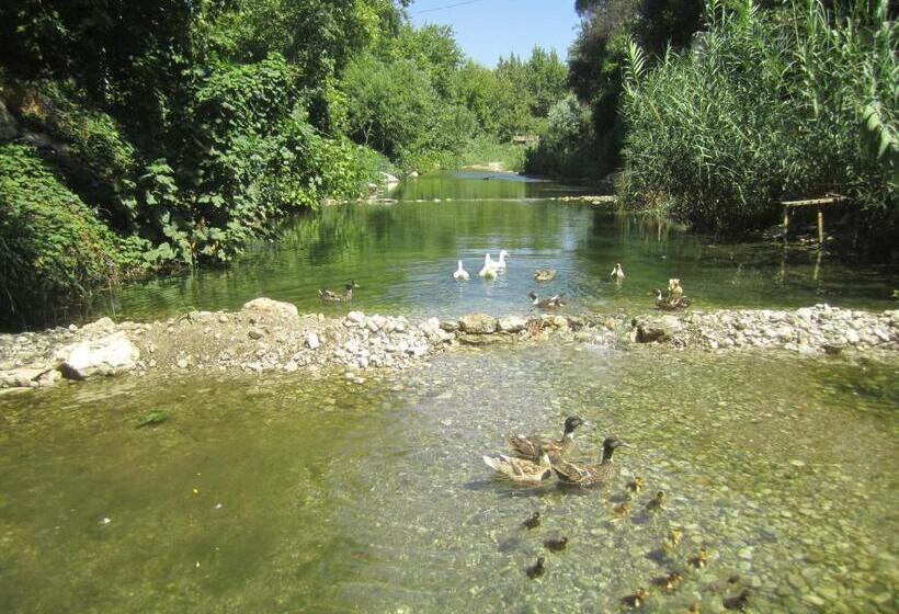 בית מלון כפרי Arikanda River Garden
