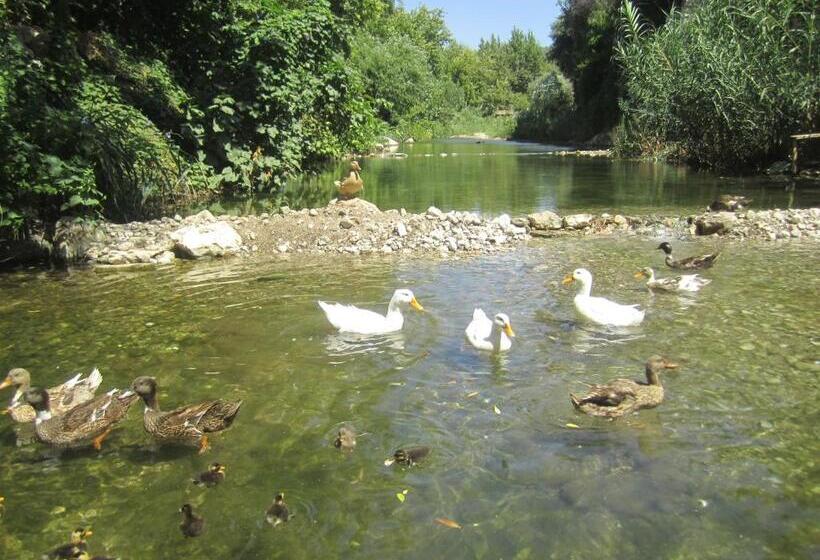 בית מלון כפרי Arikanda River Garden
