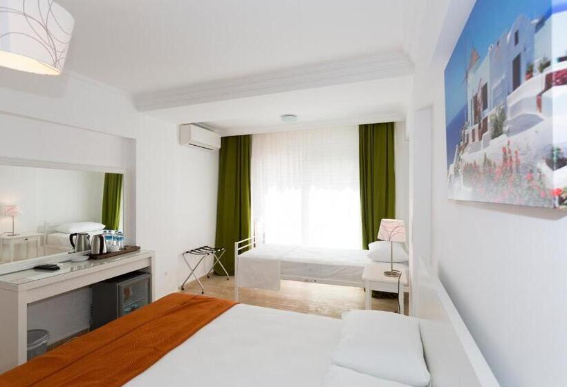 בית מלון כפרי Ayka