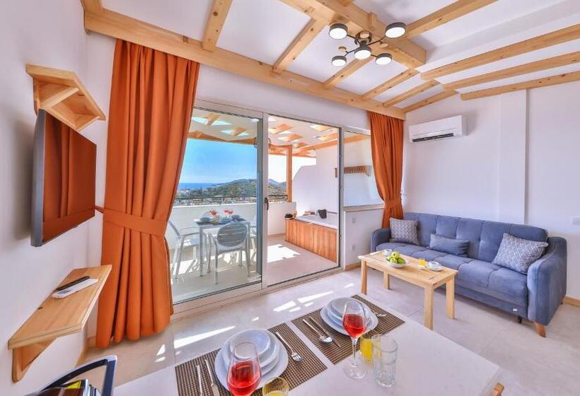 בית מלון כפרי Aysima