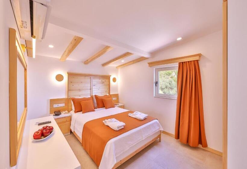 בית מלון כפרי Aysima