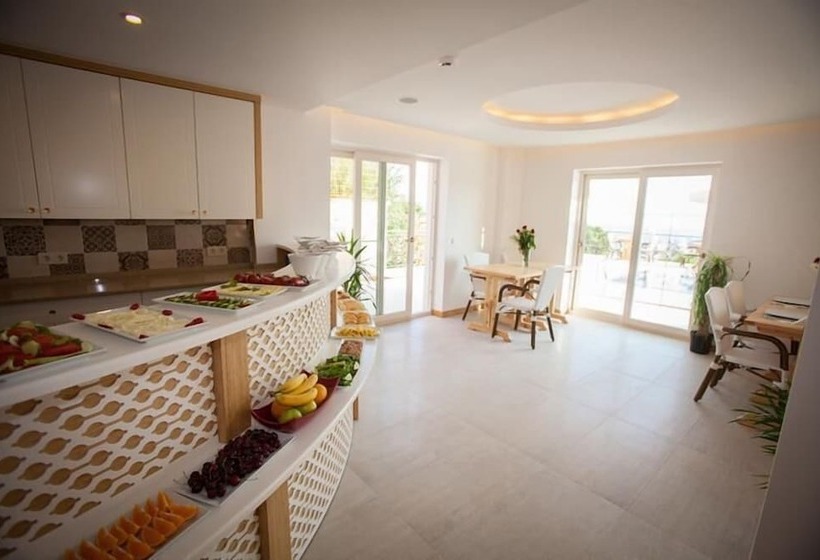 בית מלון כפרי Aysima