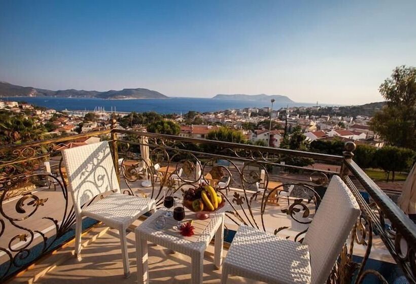 בית מלון כפרי Aysima