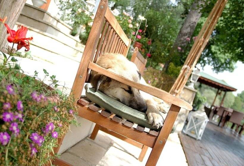 בית מלון כפרי Beyaz Ev Agva  Adult Only +15