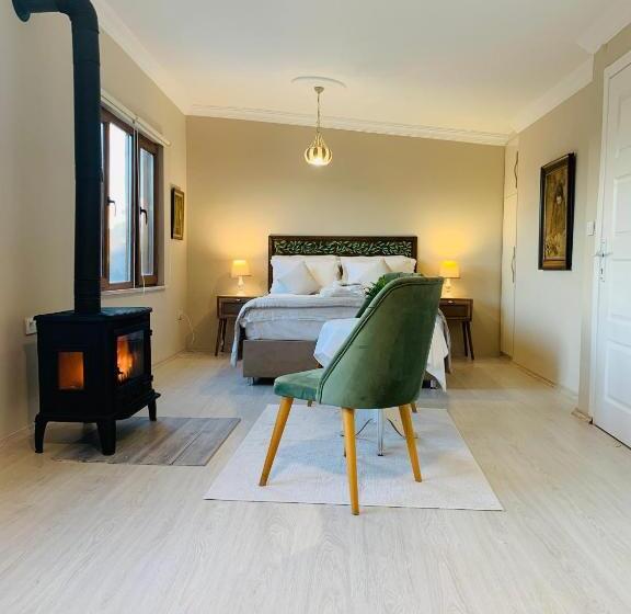 ホテル Beyaz Ev Agva  Adult Only +15