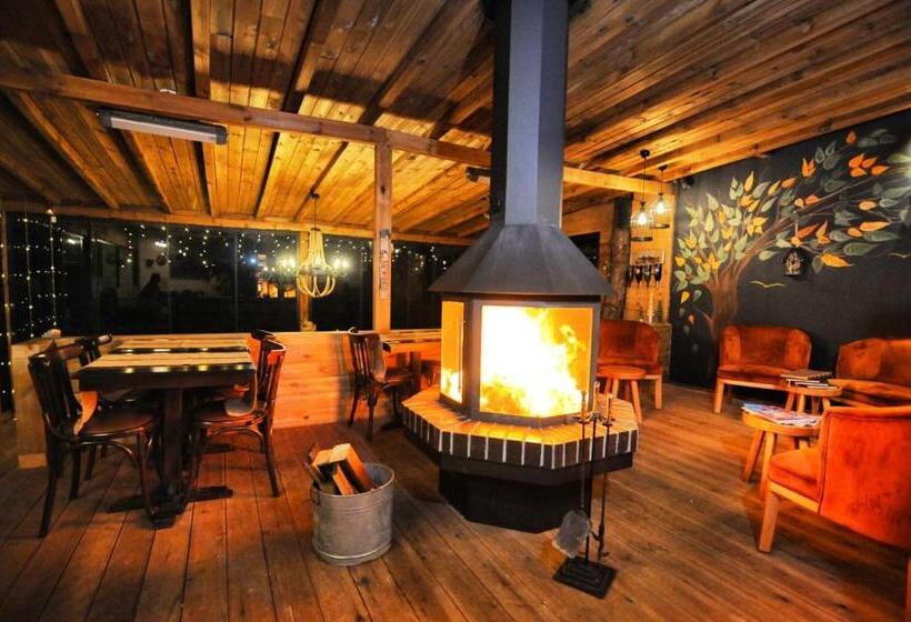 בית מלון כפרי Beyaz Ev Agva  Adult Only +15