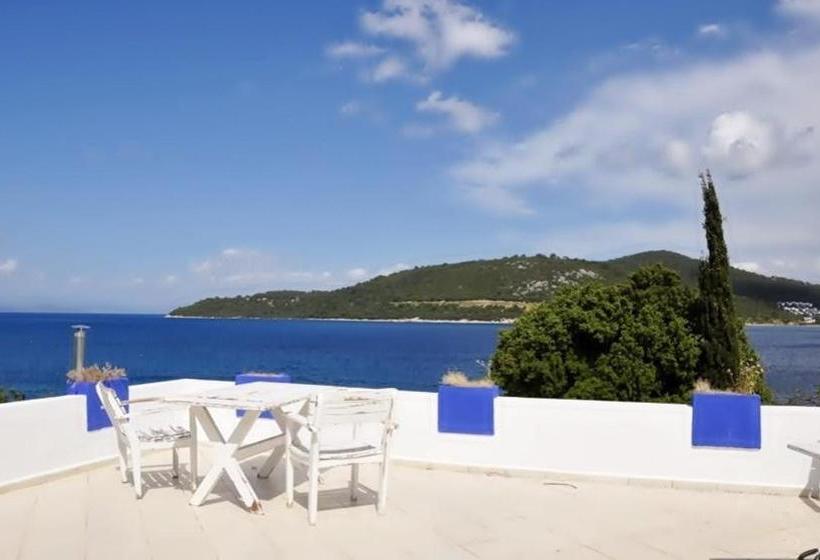 호텔 Casablanca Antik