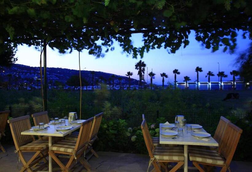 בית מלון כפרי Catamaran