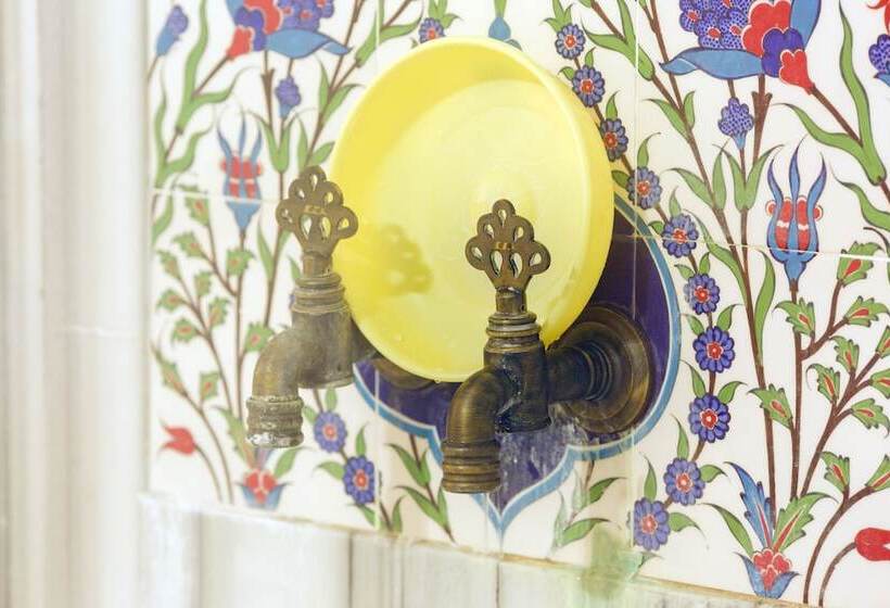 בית מלון כפרי Cavusoglu Tower