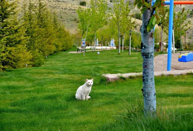 فندق Doc S Wellness & Spa