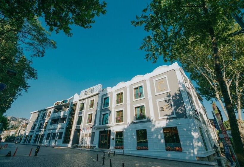 هتل Ener Old Castle Resort