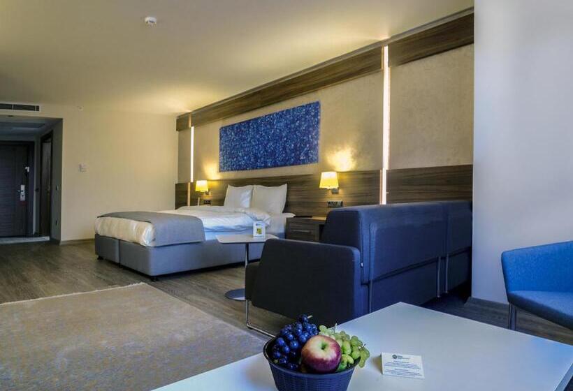 בית מלון כפרי Fesa Business