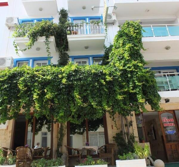 בית מלון כפרי Foca Ensar