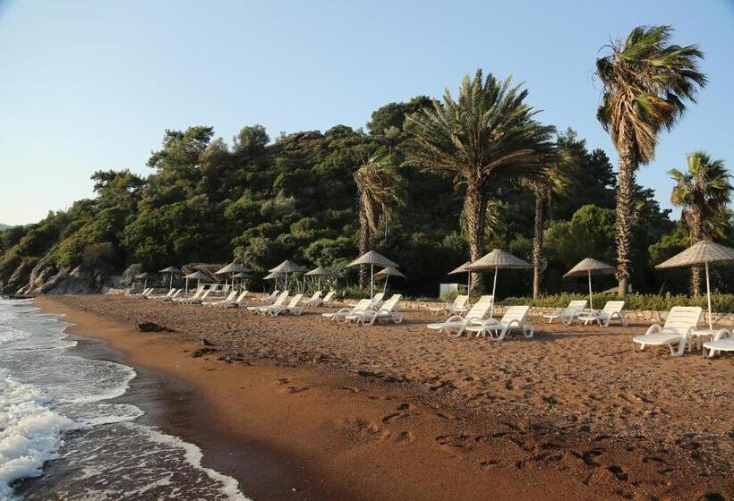 호텔 Golden Key Hisaronu