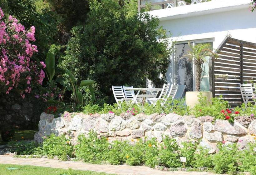 호텔 Golden Key Hisaronu