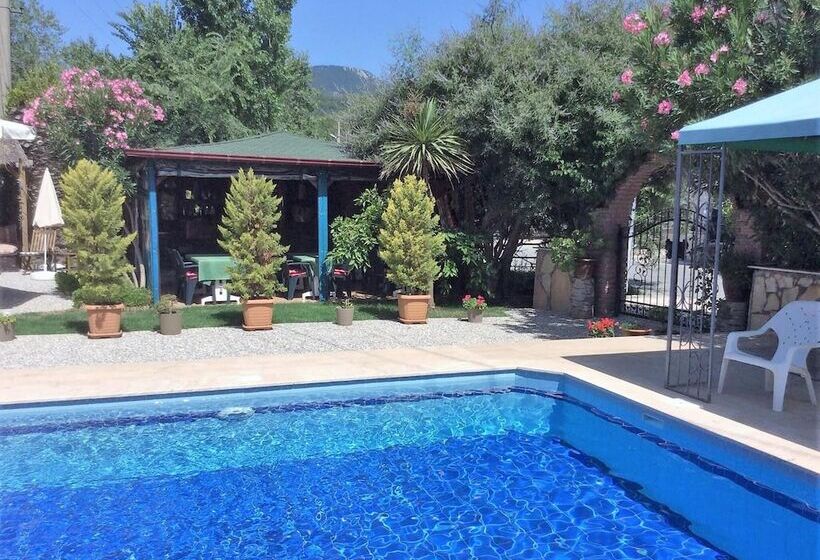 בית מלון כפרי Kilim