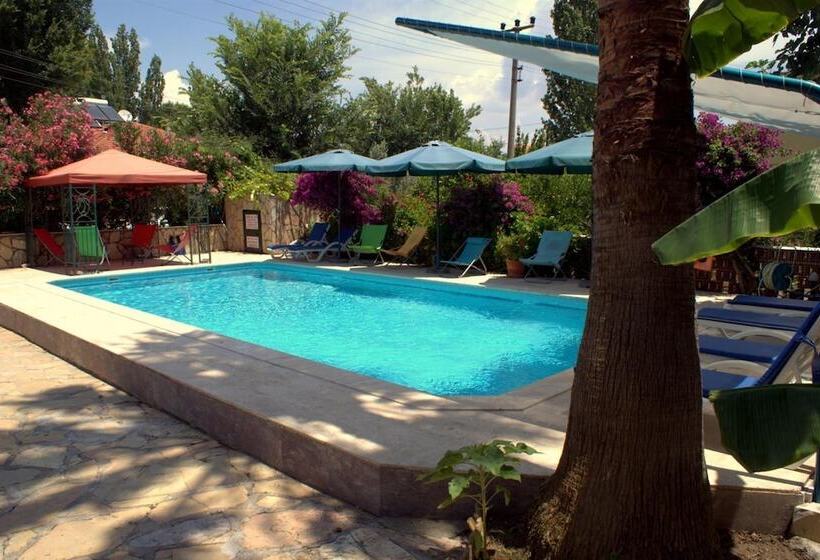 בית מלון כפרי Kilim