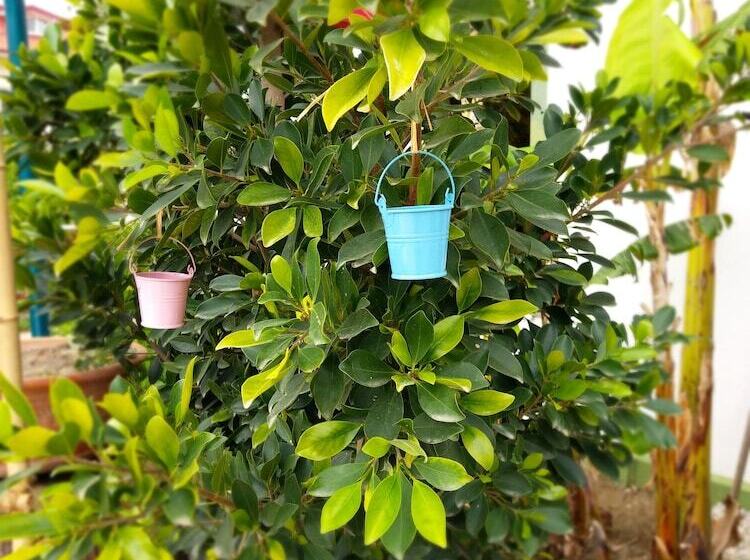 בית מלון כפרי Kilim