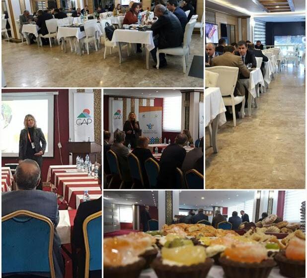 酒店 The Ancient Mesopotamia