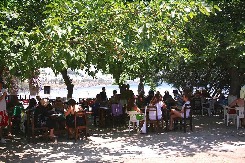 בית מלון כפרי Meteor Beach