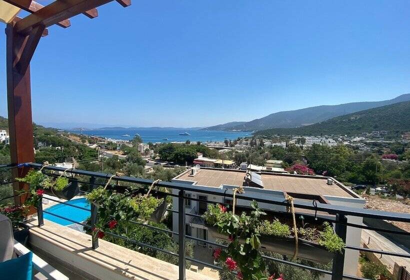 בית מלון כפרי Olivia