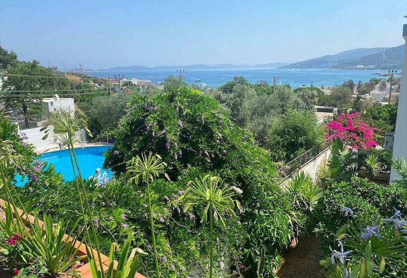 בית מלון כפרי Olivia