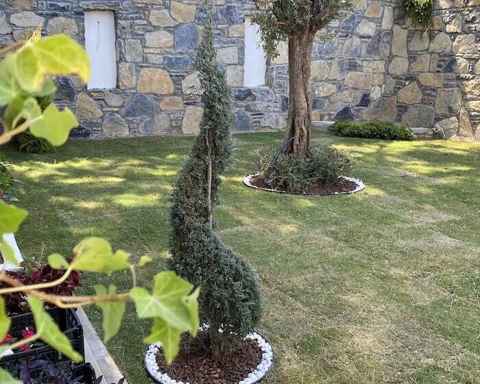 בית מלון כפרי Olivia