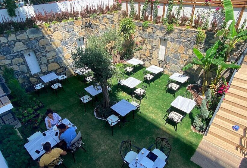 בית מלון כפרי Olivia