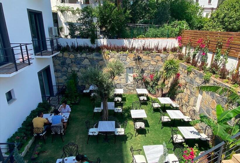 בית מלון כפרי Olivia