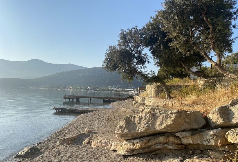 בית מלון כפרי Olivia