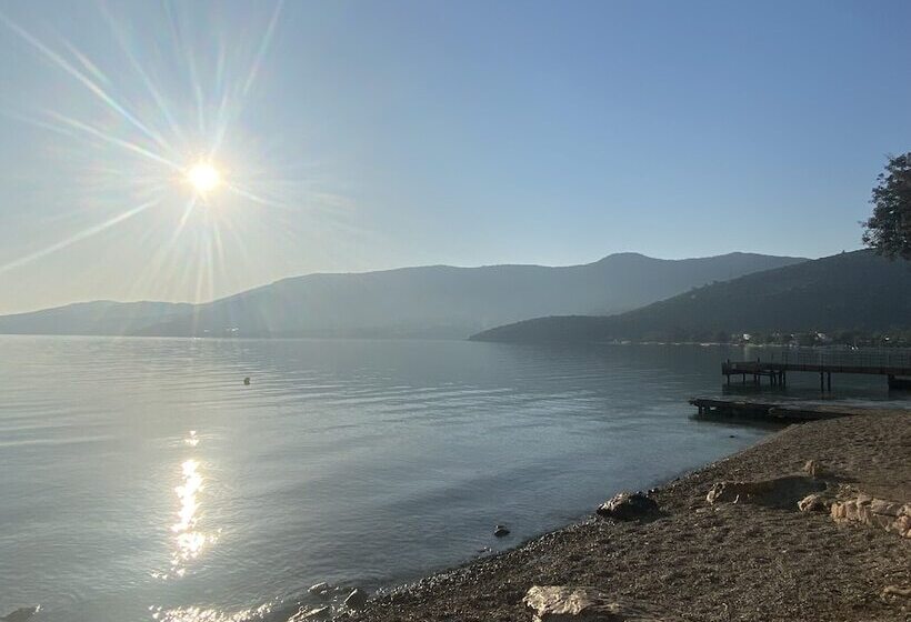 בית מלון כפרי Olivia