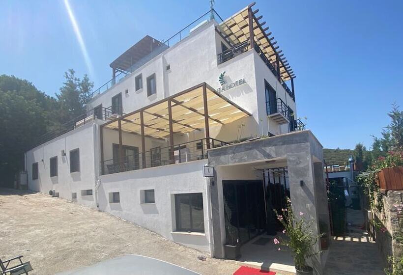 בית מלון כפרי Olivia