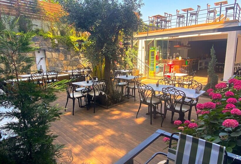 בית מלון כפרי Olivia