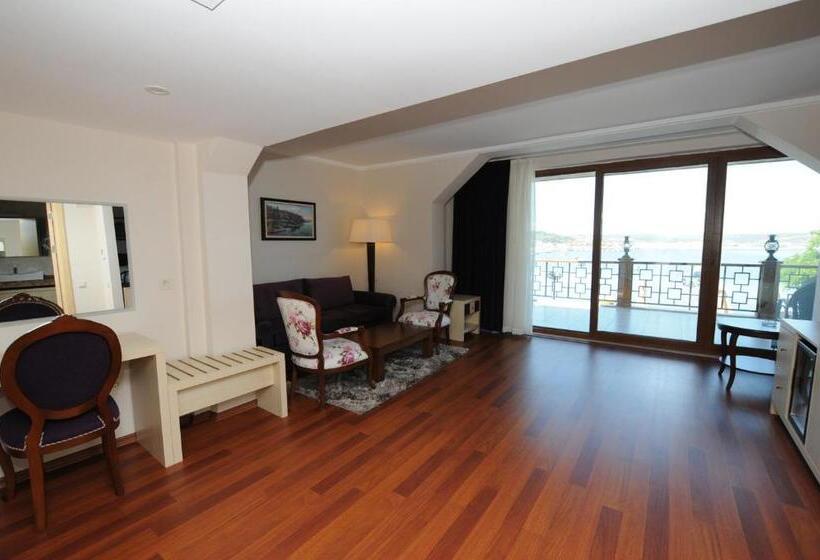 酒店 Phellos Suites