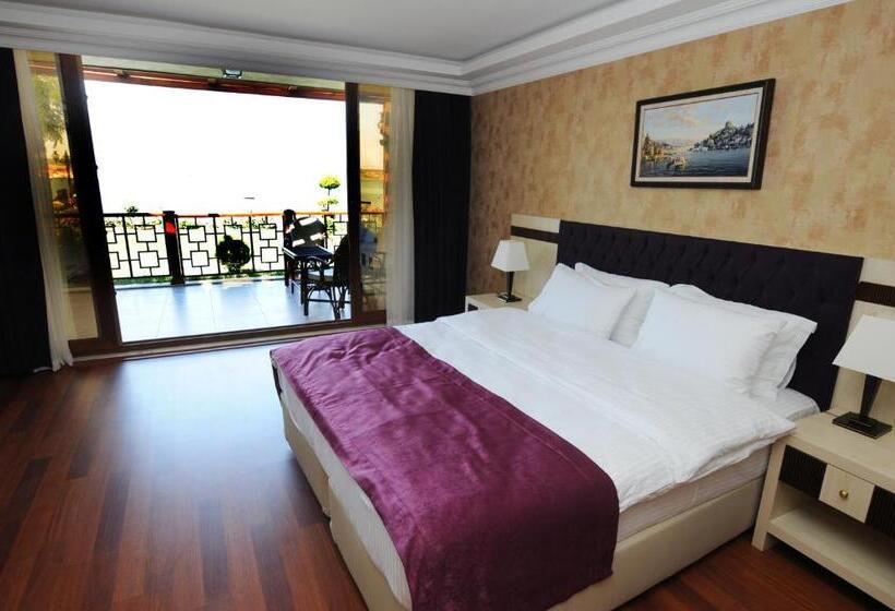 酒店 Phellos Suites