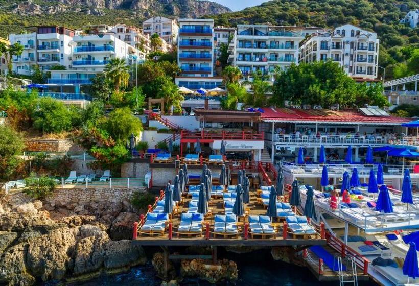 בית מלון כפרי Sea View