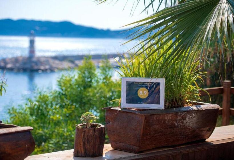 בית מלון כפרי Sea View