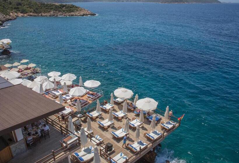 בית מלון כפרי Sea View