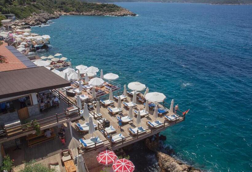 בית מלון כפרי Sea View