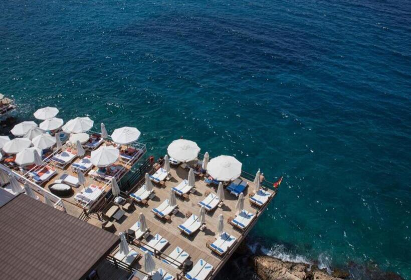 בית מלון כפרי Sea View