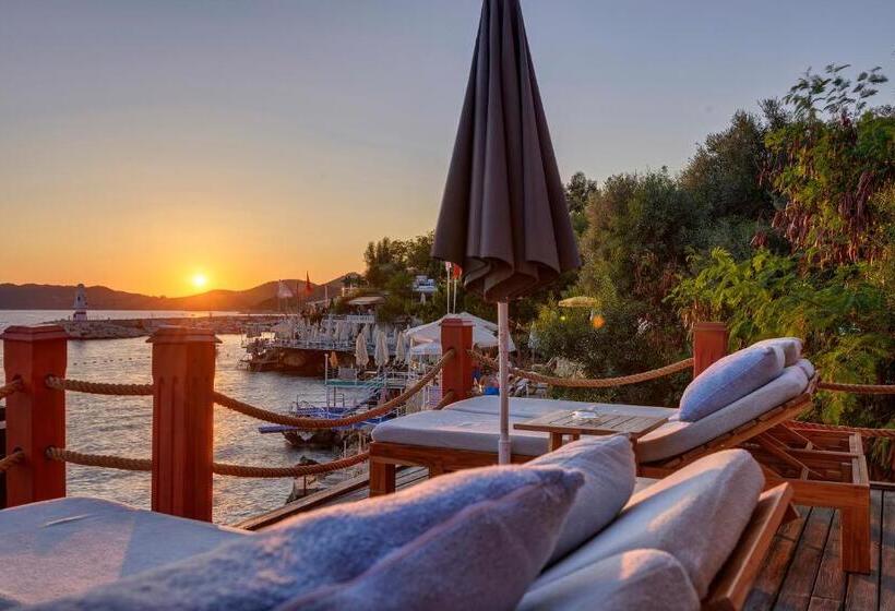 בית מלון כפרי Sea View