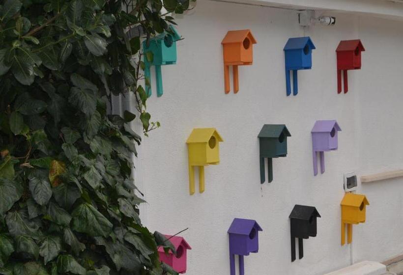 酒店 Senler Boutique