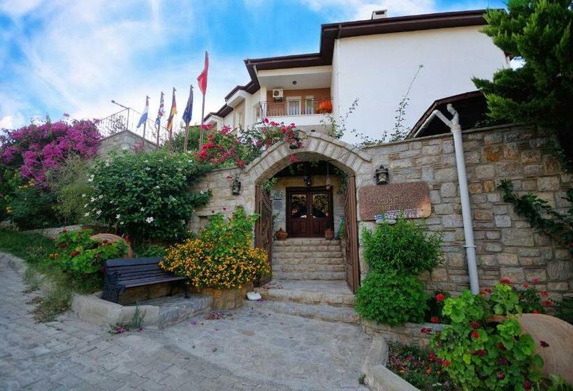 Отель Villa Anfora