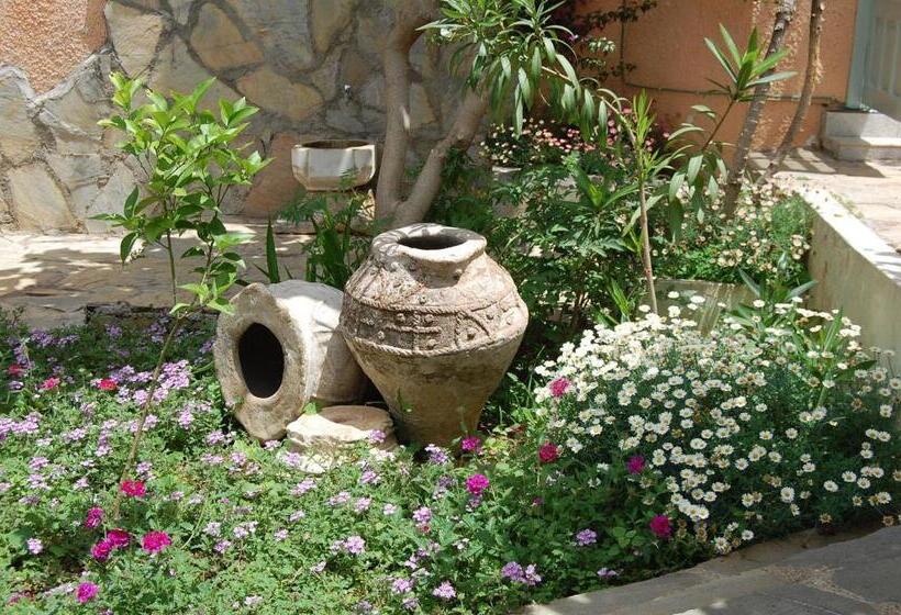 هتل Villa Tulipan