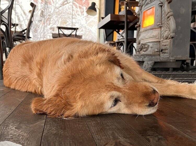 Miro Mara Boutique Hotel & Lounge Bar