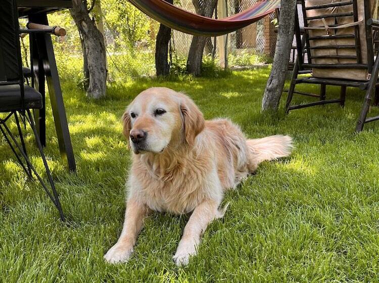 Miro Mara Boutique Hotel & Lounge Bar