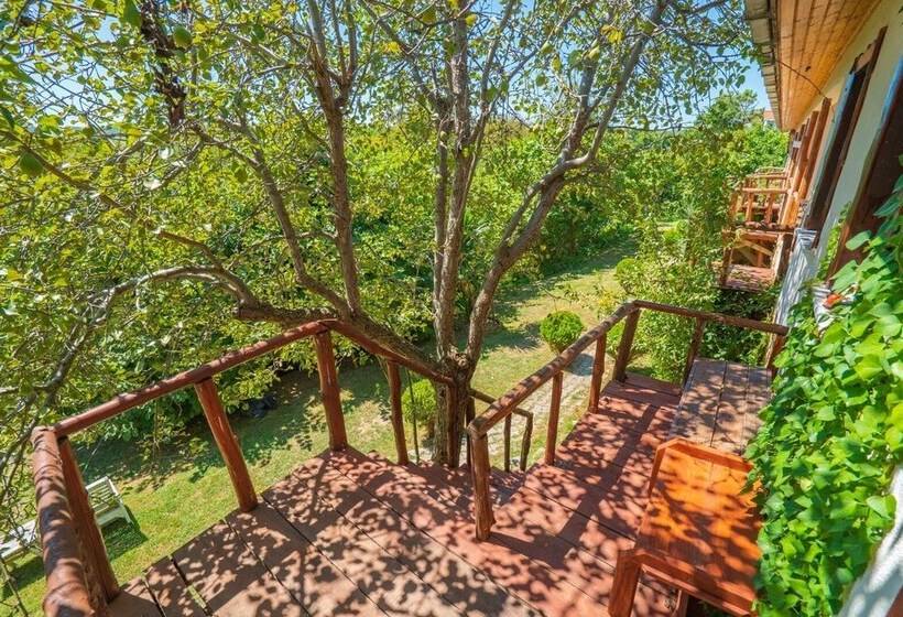 מוטל Agva Masal Evi